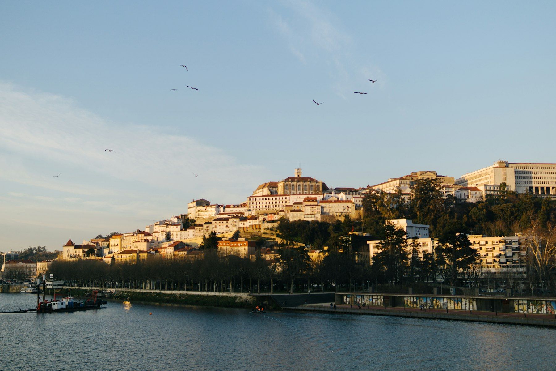 Panorama de Coimbra au-dessus du fleuve dans une lumière dorée